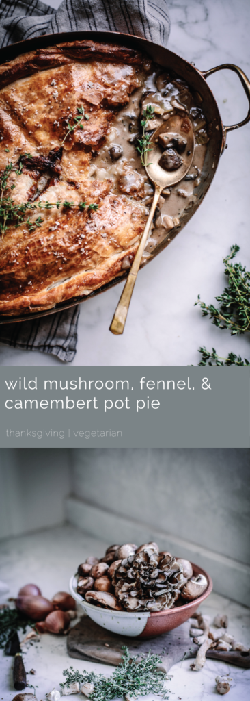 Wile Mushroom, Fennel, and Camembert Pot Pie, a vegetarian Thanksgiving or holiday side that works just as well as a main! Even meat eaters will adore this simple, easy mushroom recipe. | by Beth Kirby / Local Milk localmilkblog.com