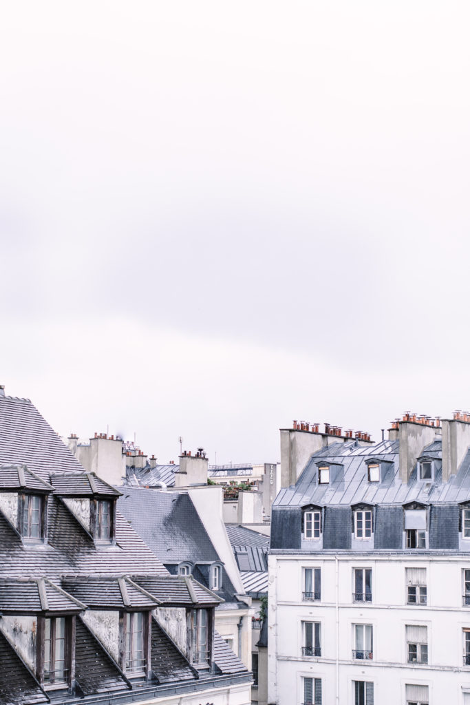 The Ultimate Paris, France Travel Guide: All the Must See Instagram, Travel Photography, Food, Cafes, Things to do, and Shopping Spot plus Travel Tips for the First Time Visitor! Rooftops #travel #paris #france