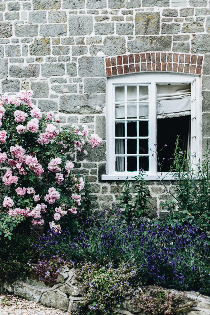 england cottage garden
