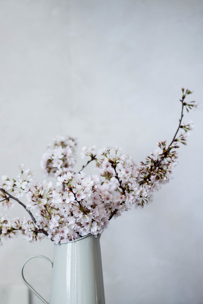 foraged spring florals, cherry blossoms