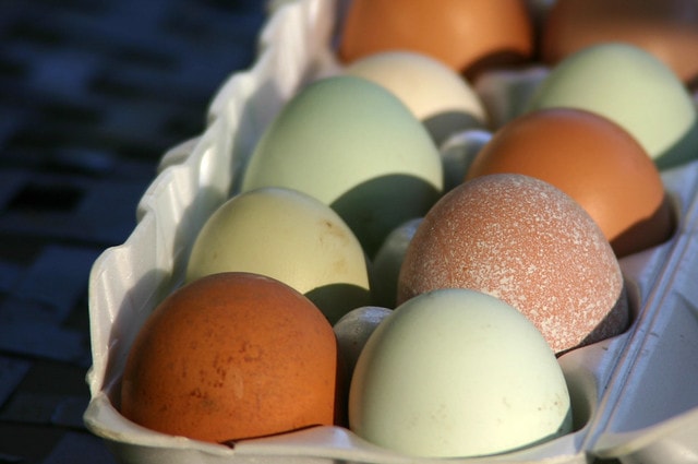 local colored eggs